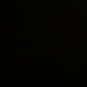 Meet your Posher, Gianna